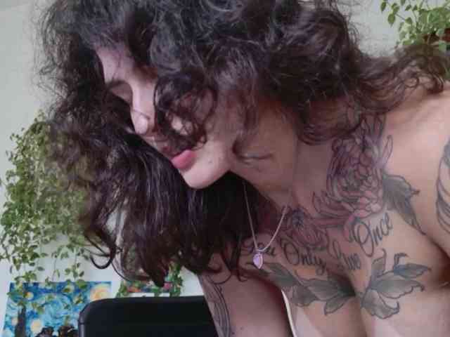 talimajesty webcam