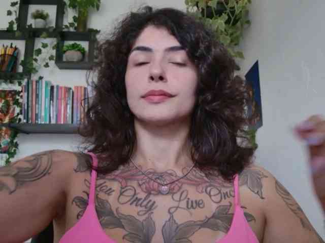 talimajesty webcam