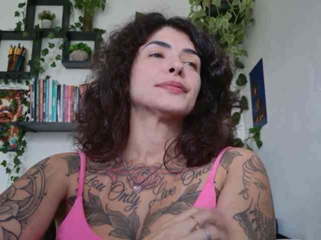 talimajesty webcam