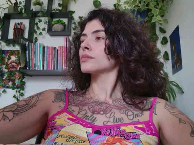 talimajesty webcam