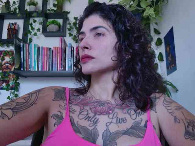 talimajesty webcam