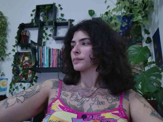 talimajesty webcam
