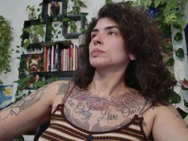 talimajesty webcam