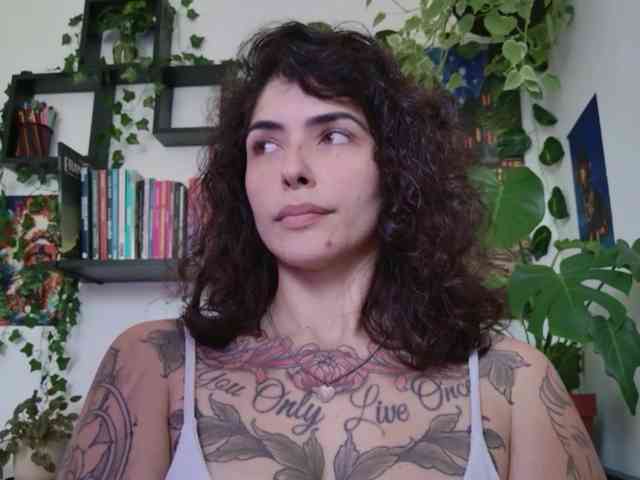 talimajesty webcam