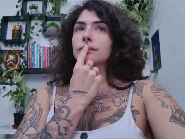 talimajesty webcam
