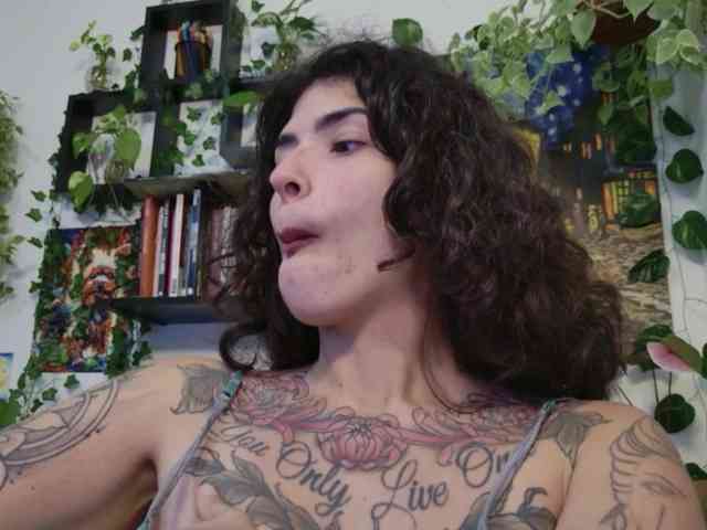 talimajesty webcam