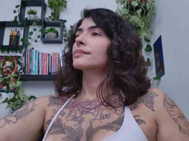 talimajesty webcam
