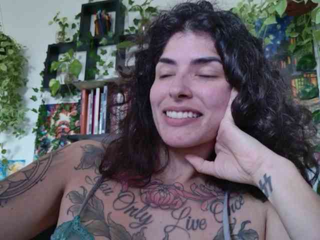 talimajesty webcam