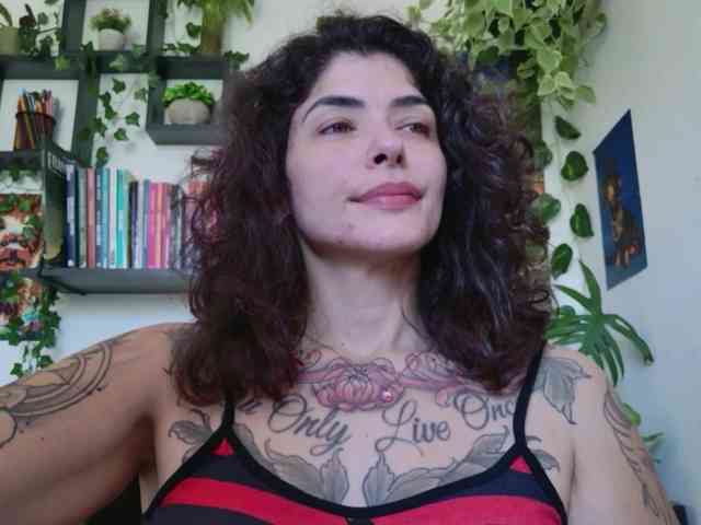 talimajesty webcam