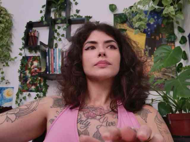 talimajesty webcam
