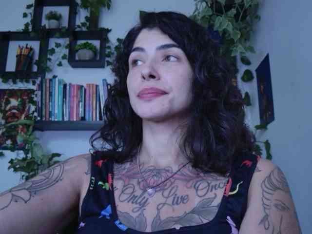 talimajesty webcam