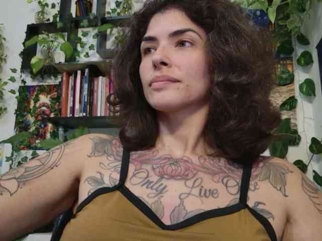 talimajesty webcam
