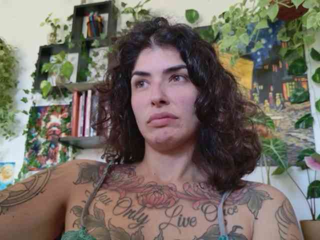 talimajesty webcam