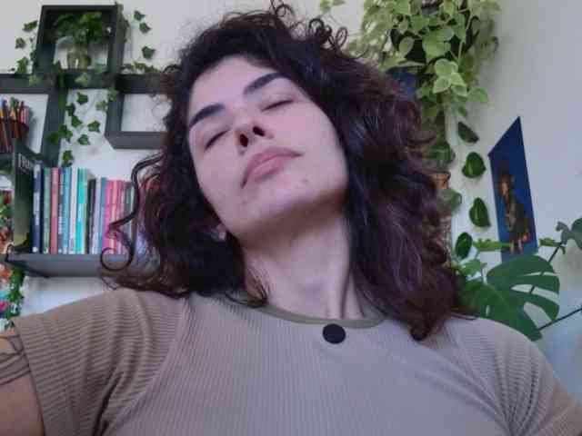 talimajesty webcam