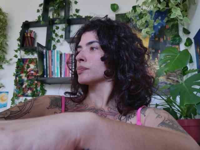 talimajesty webcam