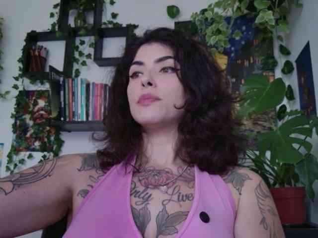 talimajesty webcam