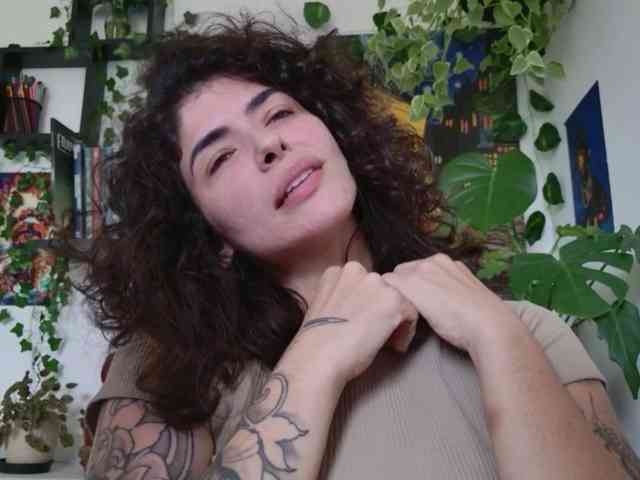 talimajesty webcam