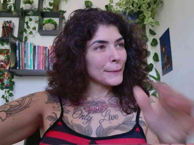 talimajesty webcam