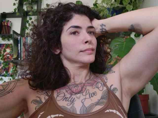 talimajesty webcam