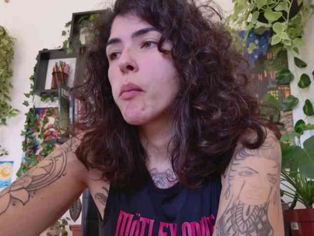 talimajesty webcam