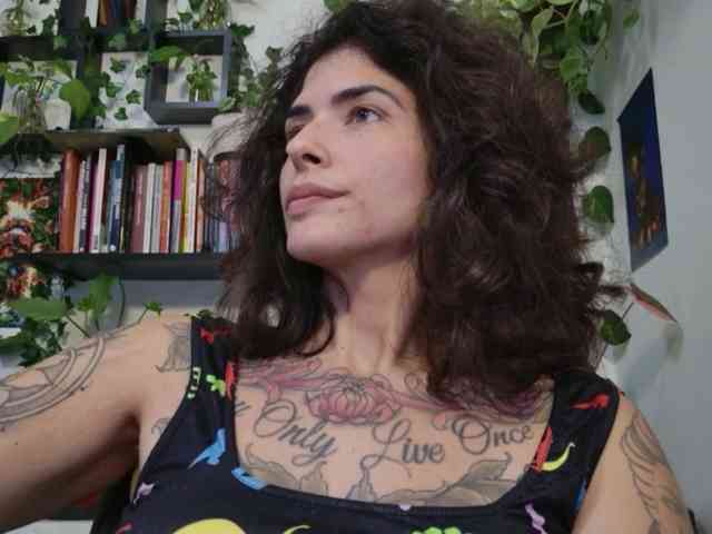 talimajesty webcam