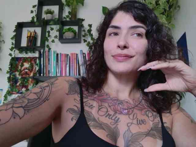talimajesty webcam