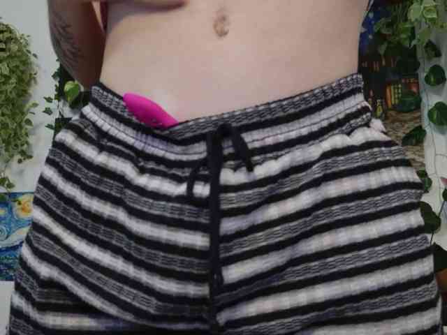 talimajesty webcam