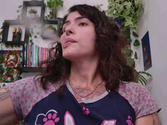 talimajesty webcam