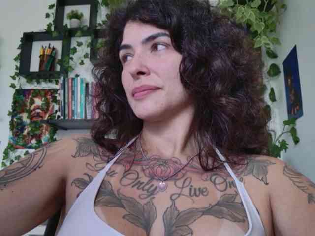 talimajesty webcam
