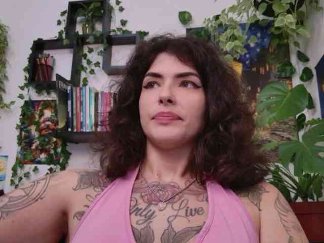 talimajesty webcam