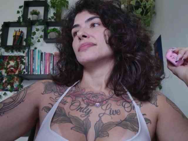 talimajesty webcam