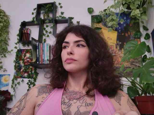 talimajesty webcam