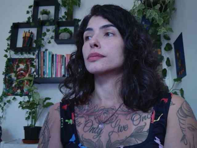 talimajesty webcam