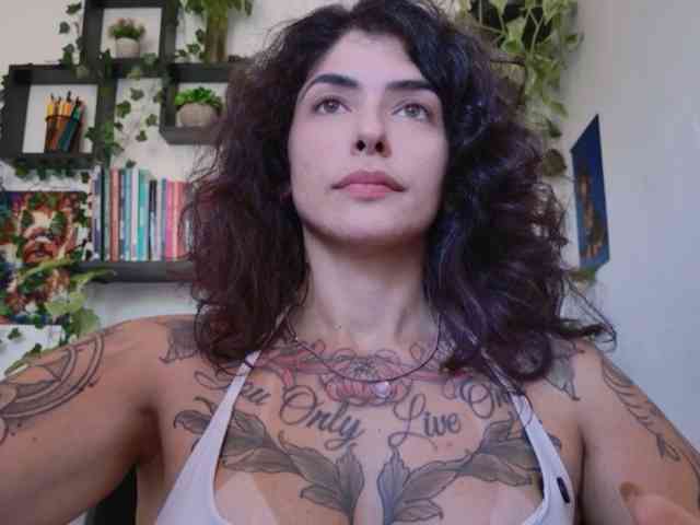 talimajesty webcam
