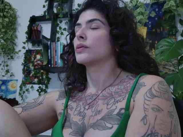 talimajesty webcam