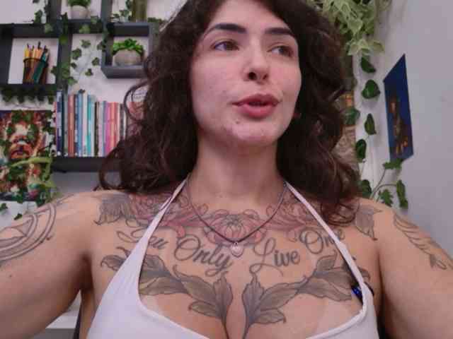 talimajesty webcam