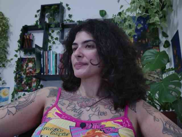 talimajesty webcam