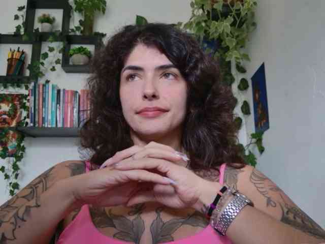 talimajesty webcam