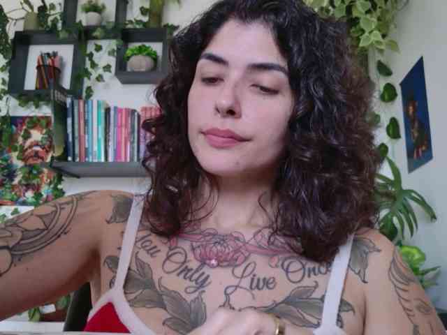 talimajesty webcam