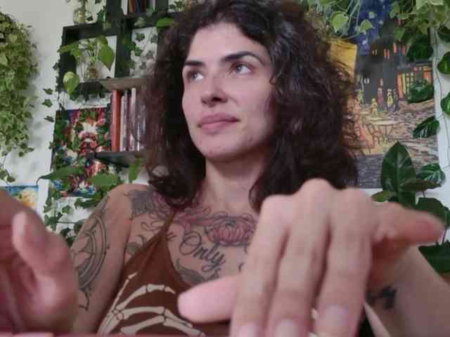 talimajesty webcam