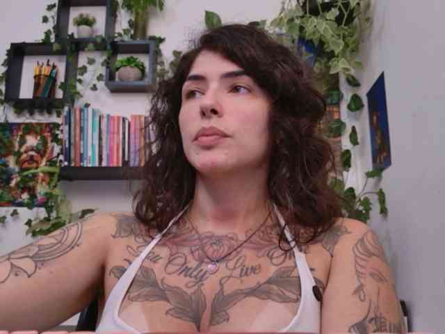 talimajesty webcam
