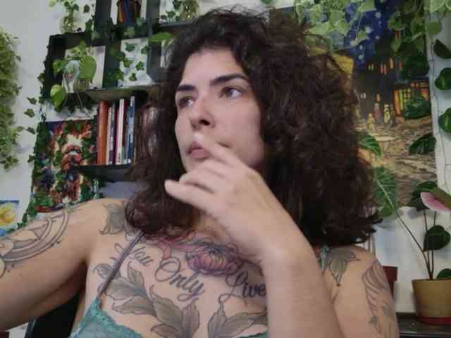 talimajesty webcam