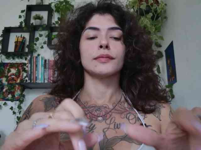 talimajesty webcam