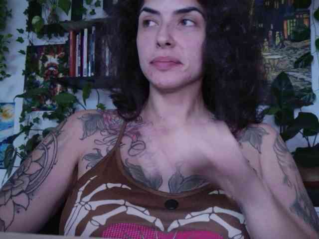 talimajesty webcam