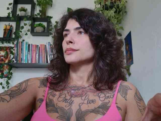 talimajesty webcam