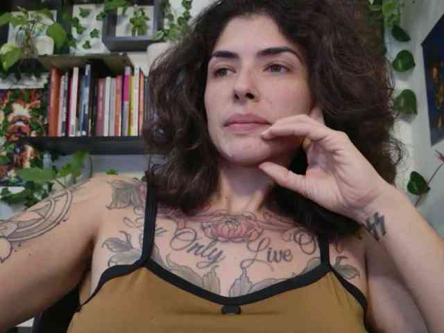 talimajesty webcam