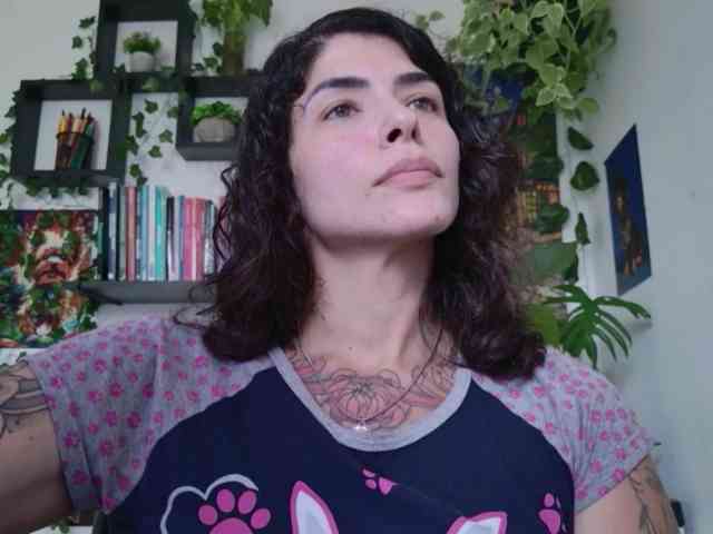 talimajesty webcam