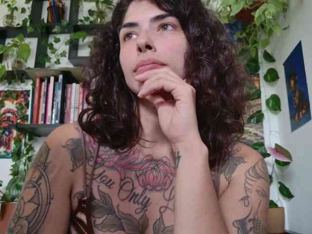 talimajesty webcam
