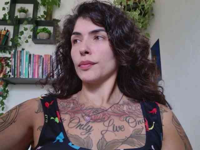 talimajesty webcam