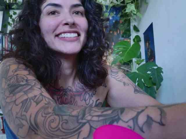 talimajesty webcam